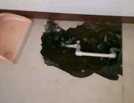 献县卫生间测漏水多少钱
